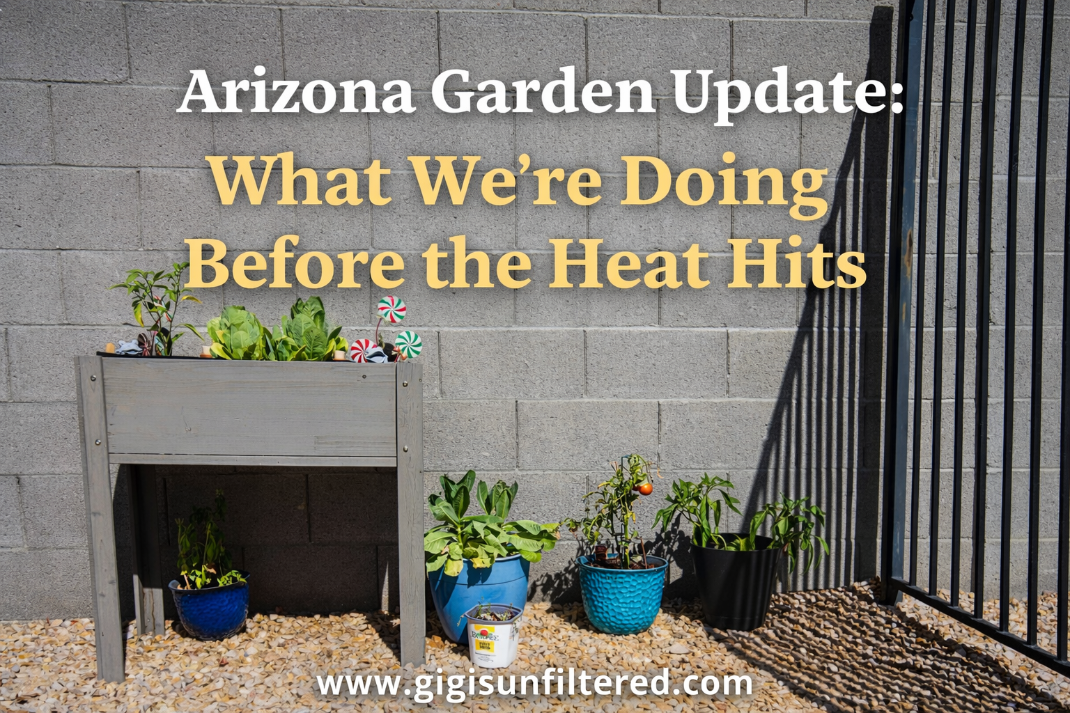 Arizona Garden Update: What We’re Doing Before the Heat Hits