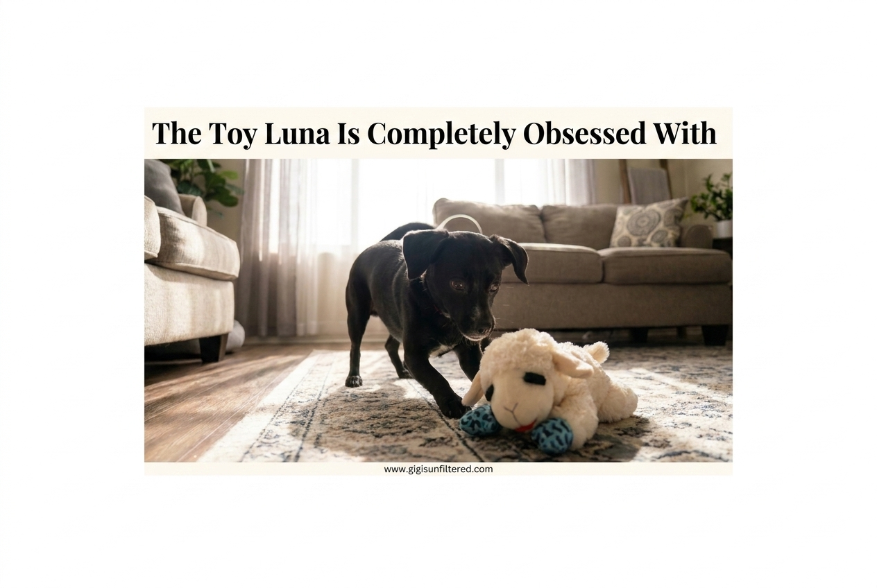 The Toy That Has Luna Completely Obsessed With